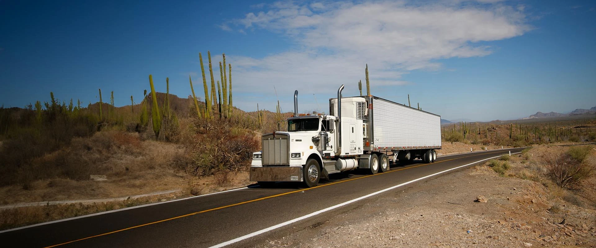 Why Cargo Freight Forwarders Are Essential in Global Trade Logistics