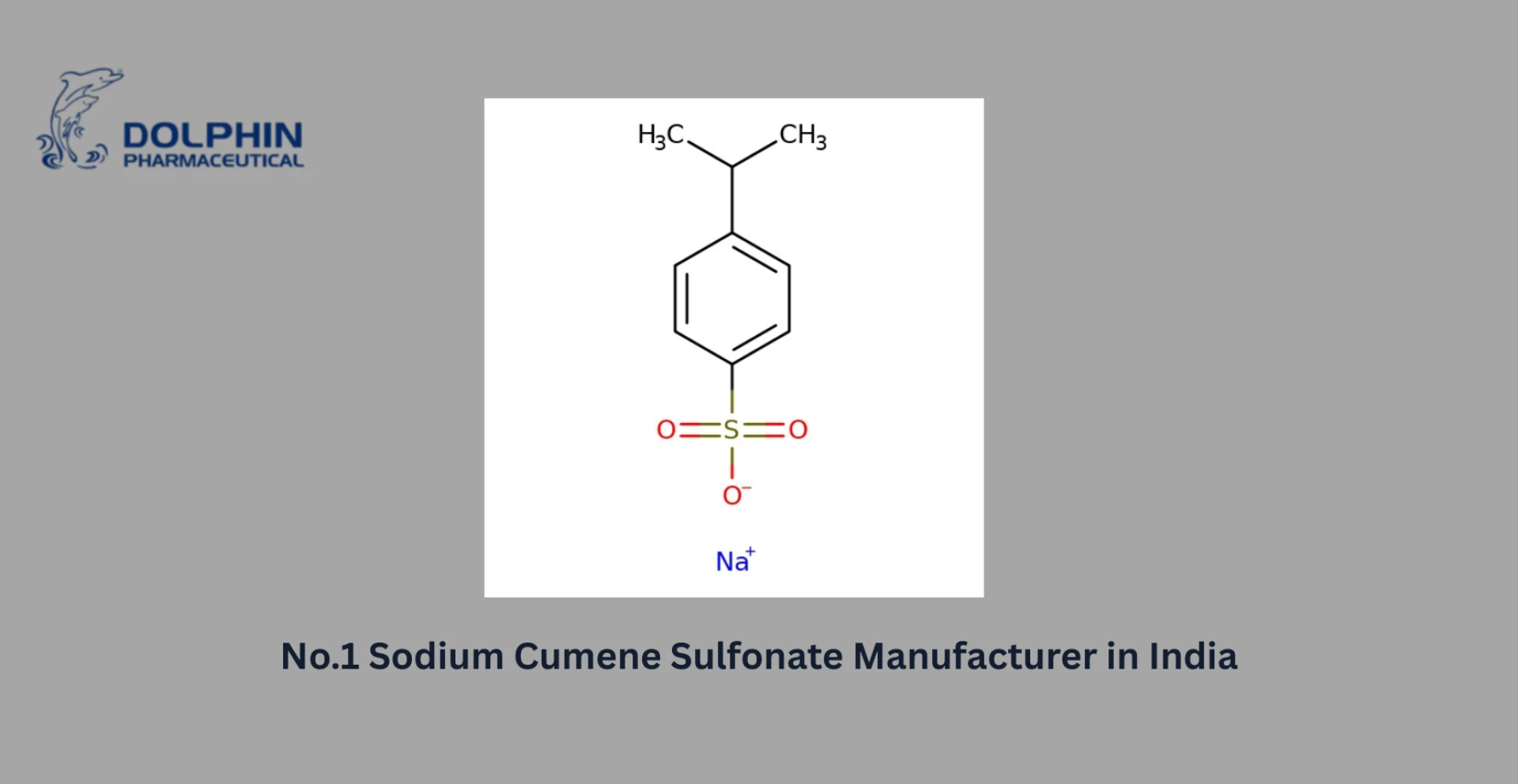 No.1 Active Pharmaceutical Ingredients supplier in India