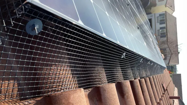 Protecting Your Solar Panels: A Guide to Bird Mesh Installation and Bird Repellent Solutions