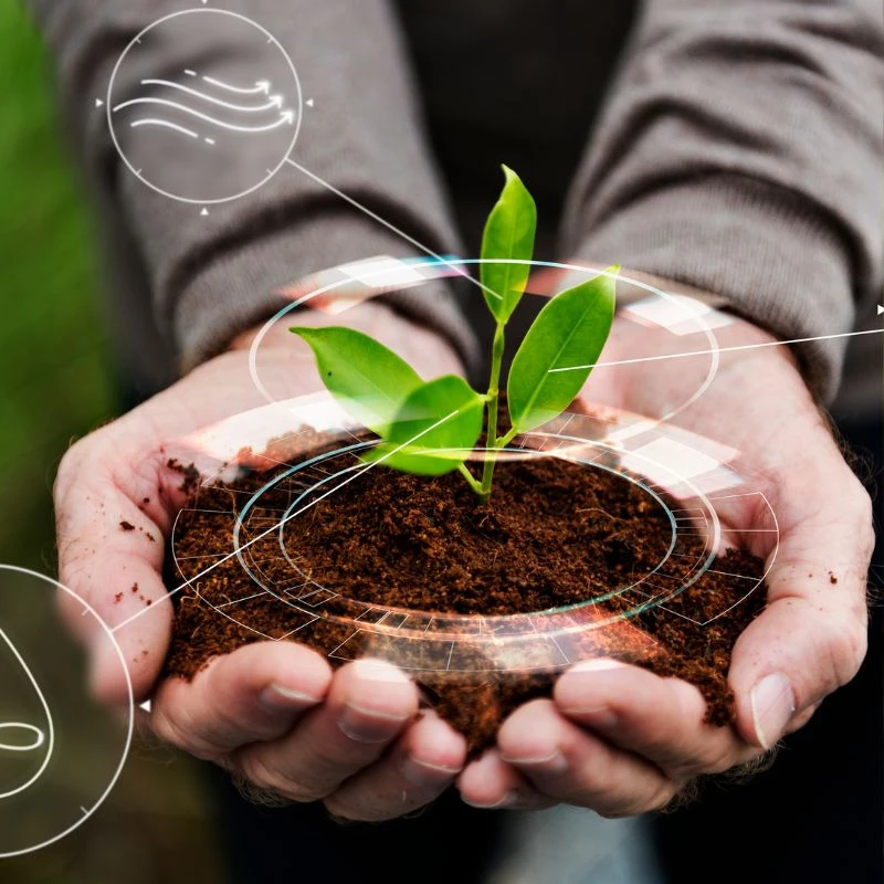 Regenerative Organic Certified: A Label That’s Driving Demand in Ingredient Procurement