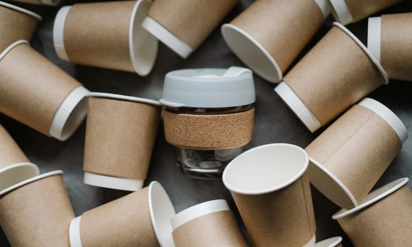 United States Biodegradable Cups and Lids Market Size and Forecast 2025-2034