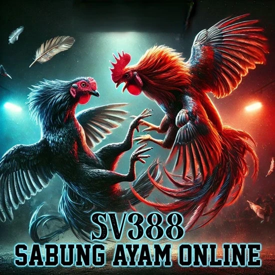 Sabung Ayam SV388: Situs Sabung Ayam Jago Online Messipoker
