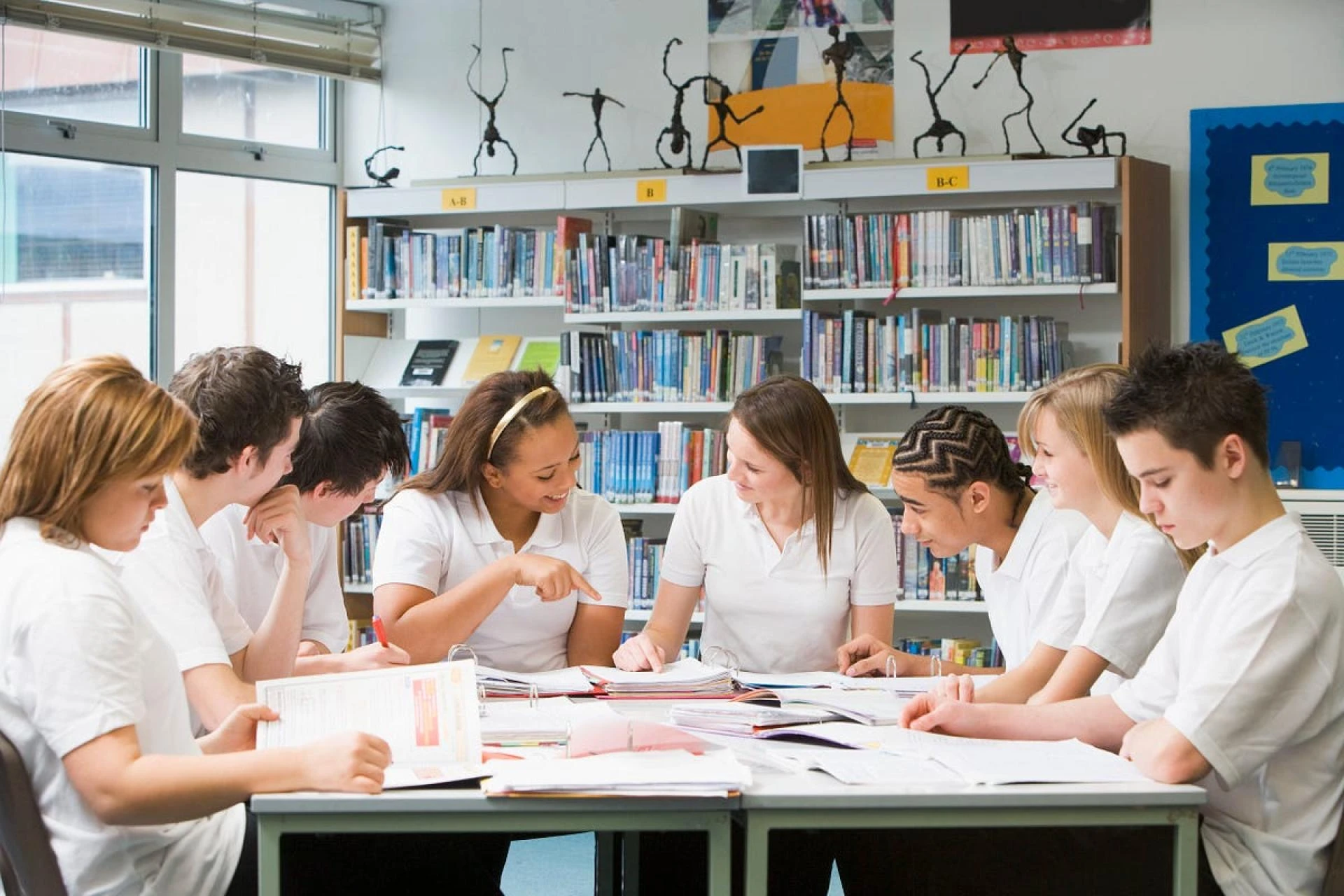 What is the Educational Management Information System (EMIS)?