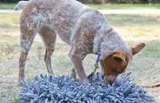 Paw 5 Wooly Snuffle Mat – A Complete Guide for Pet Owners