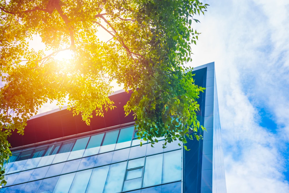 Top Reasons to Invest in Commercial Window Film for Your Auckland Office