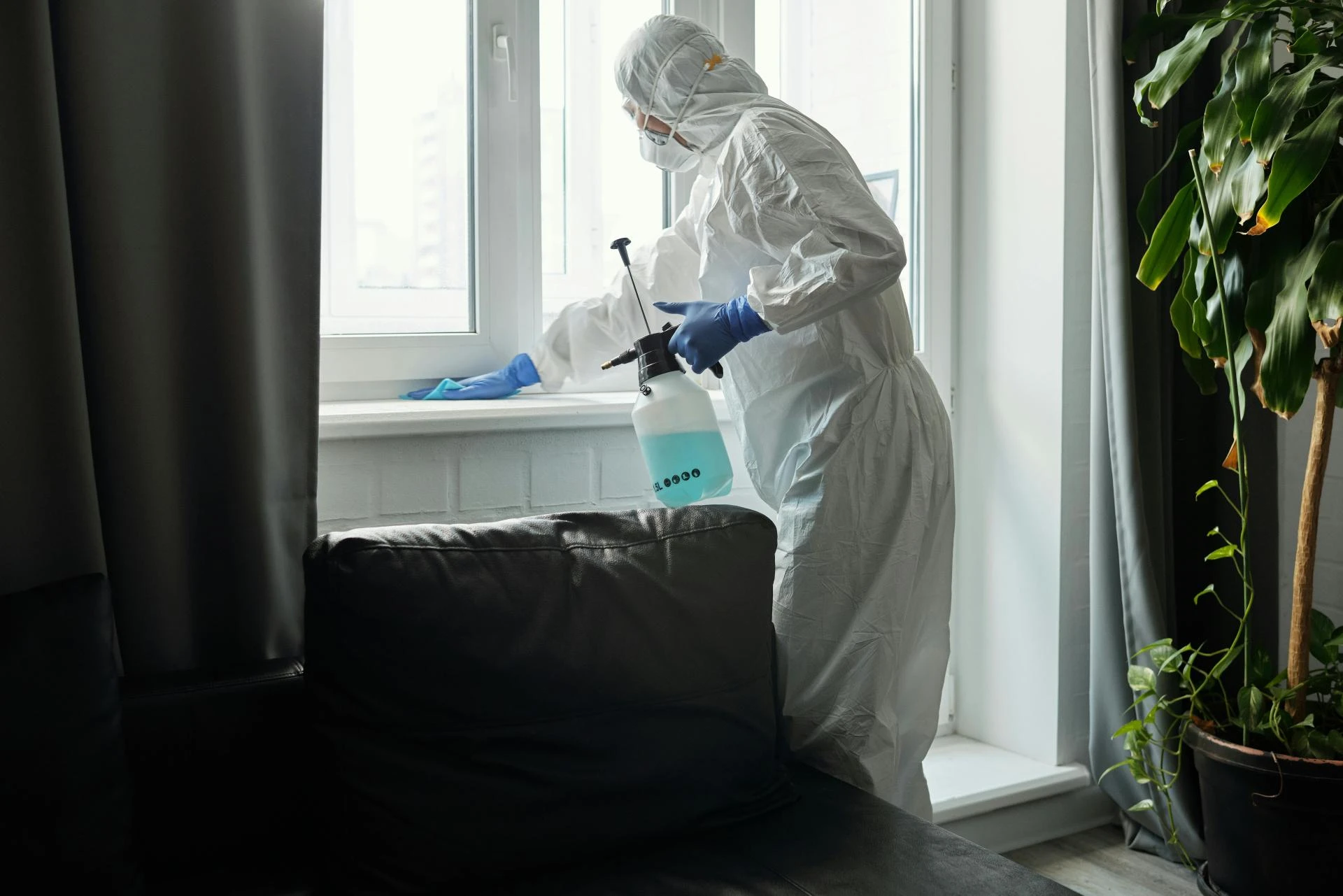 Why DIY Roach Control Fails in Las Vegas Homes