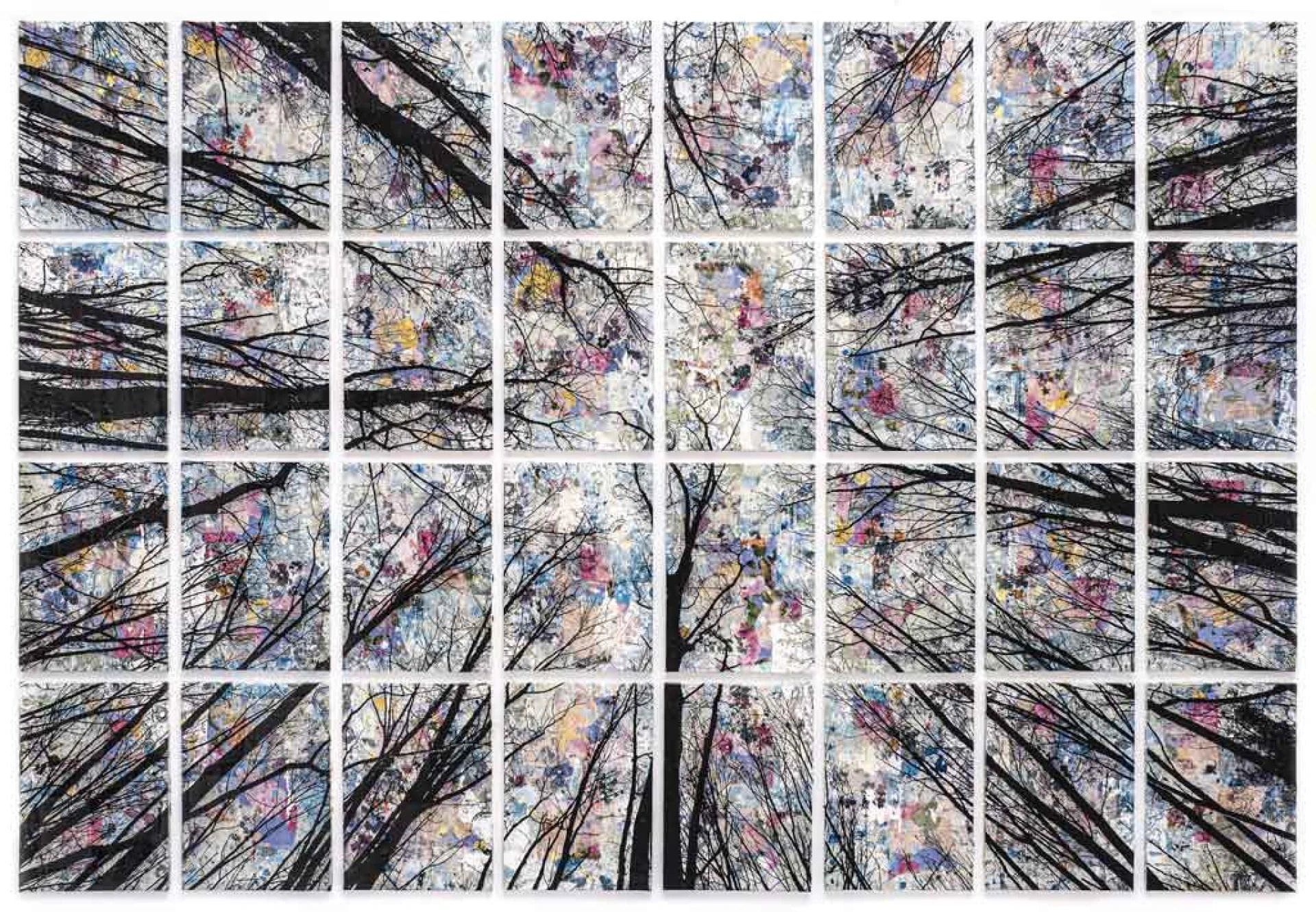A new collaboration begins, unveiling Felisi’s art in Venice