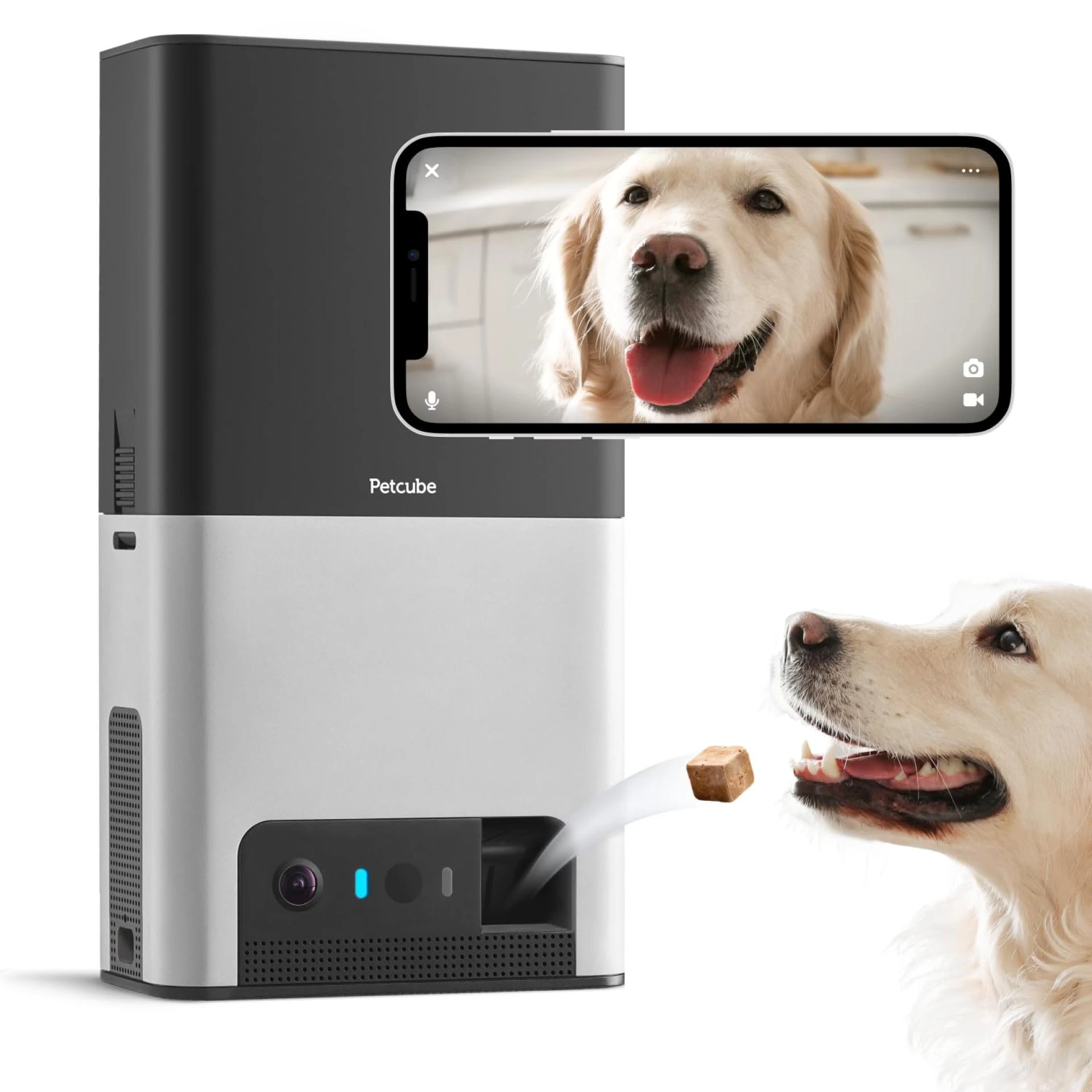 Petcube Bites 2: A Smart Way to Connect with Pets