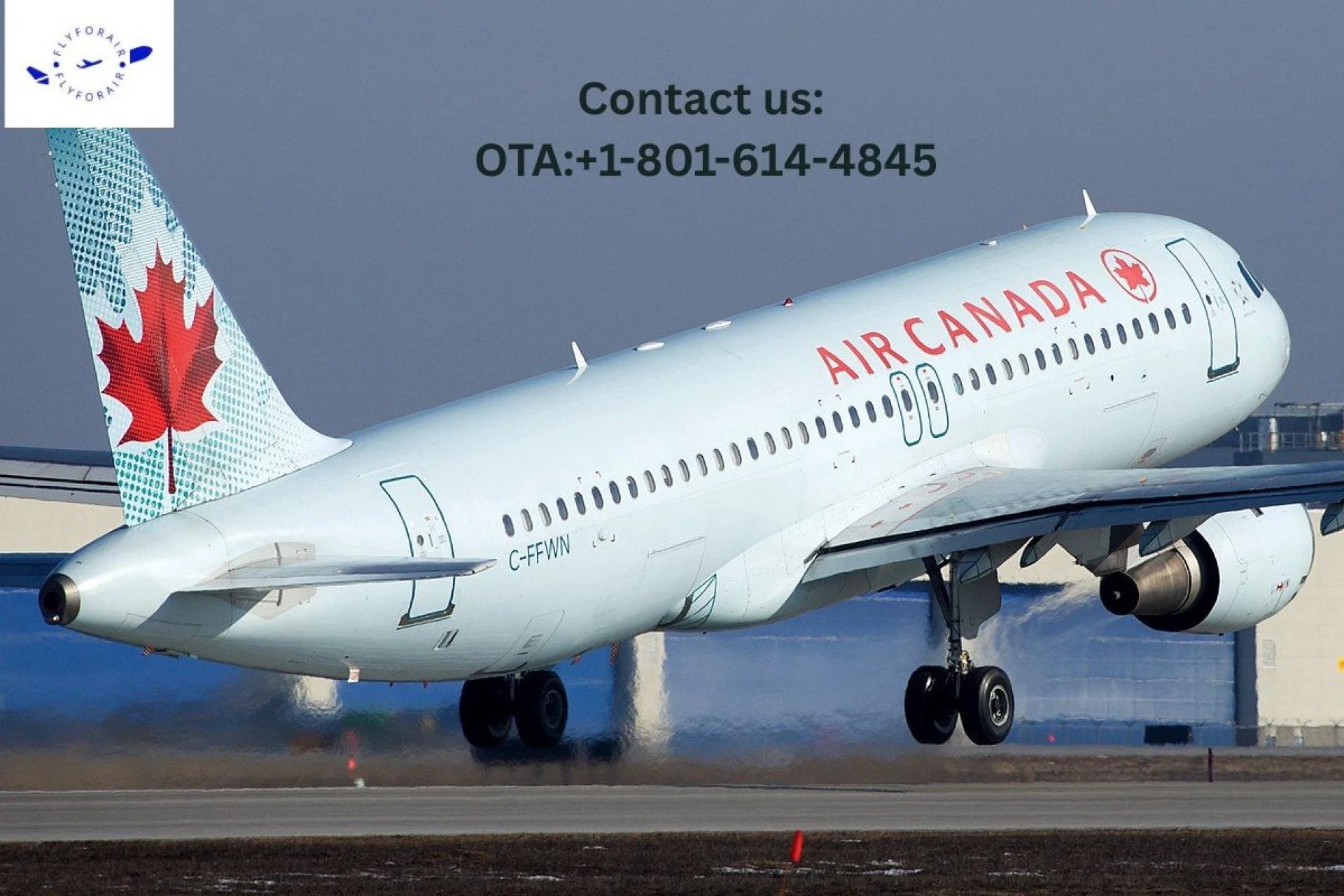 How Do I Ask for an Upgrade with Air Canada? Ideas Are Inside! 