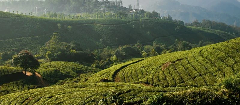 Kerala Holiday Tour Packages – The Perfect Family Gateway to God’s Own Country