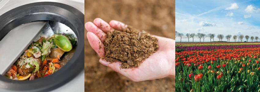 From Kitchen Scraps to Soil Gold: How Hungry Giant is Changing the Way We Handle Food Waste