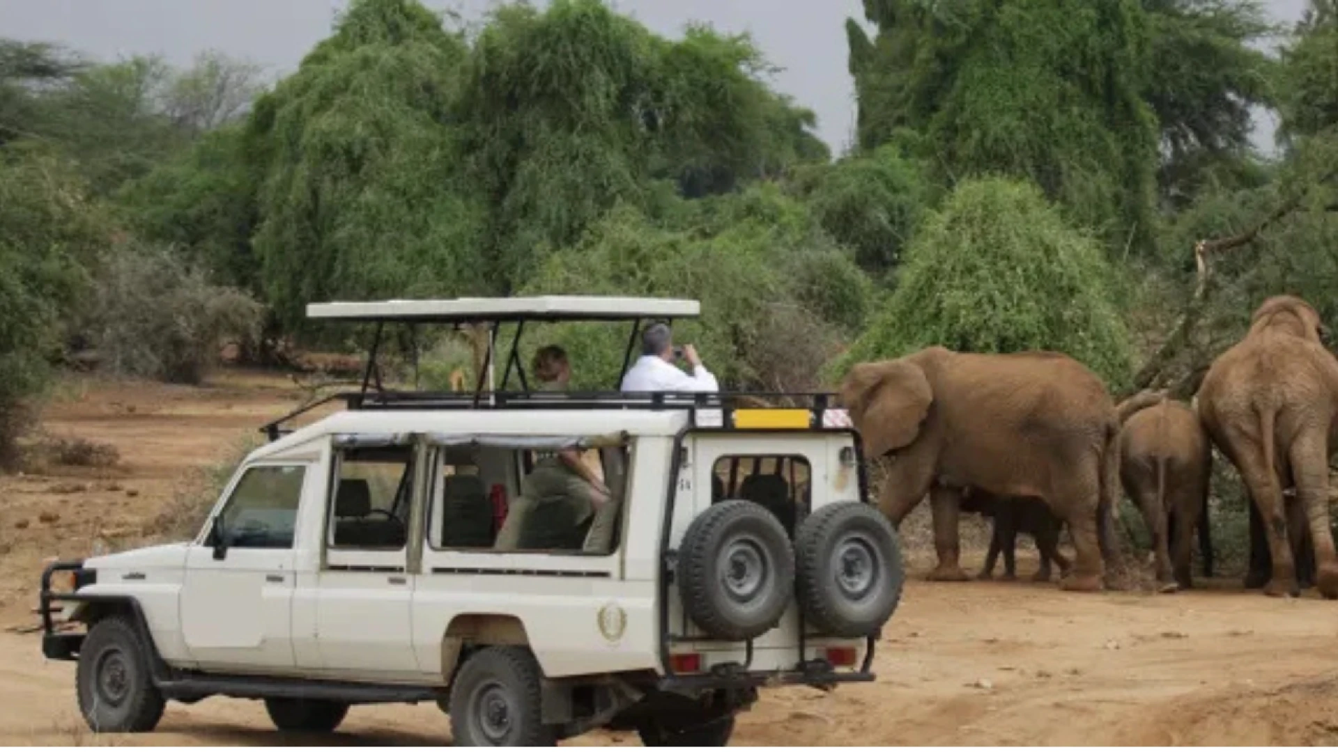 Advantages of Choosing Safari Tours in the Kenya and Tanzania