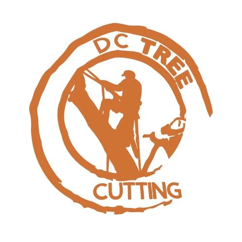 How NC's Red Clay Affects Your Tree's Health