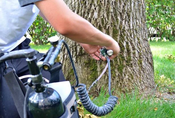 The Science Behind Ash Tree Injections: How They Work