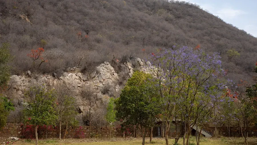 Top Experiences at a Heritage Retreat: From Bhangarh Tours to Organic Farming