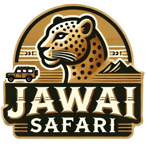 Jawai Leopard Safari Price and Leopard Sightings in Jawai