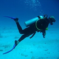 Scuba Diving in Dubai: Discover the Hidden Wonders Beneath the Waves