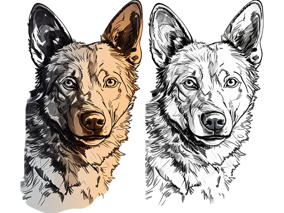 Vector Conversion Service: Turning Artwork into High-Quality Vector Filesost Title