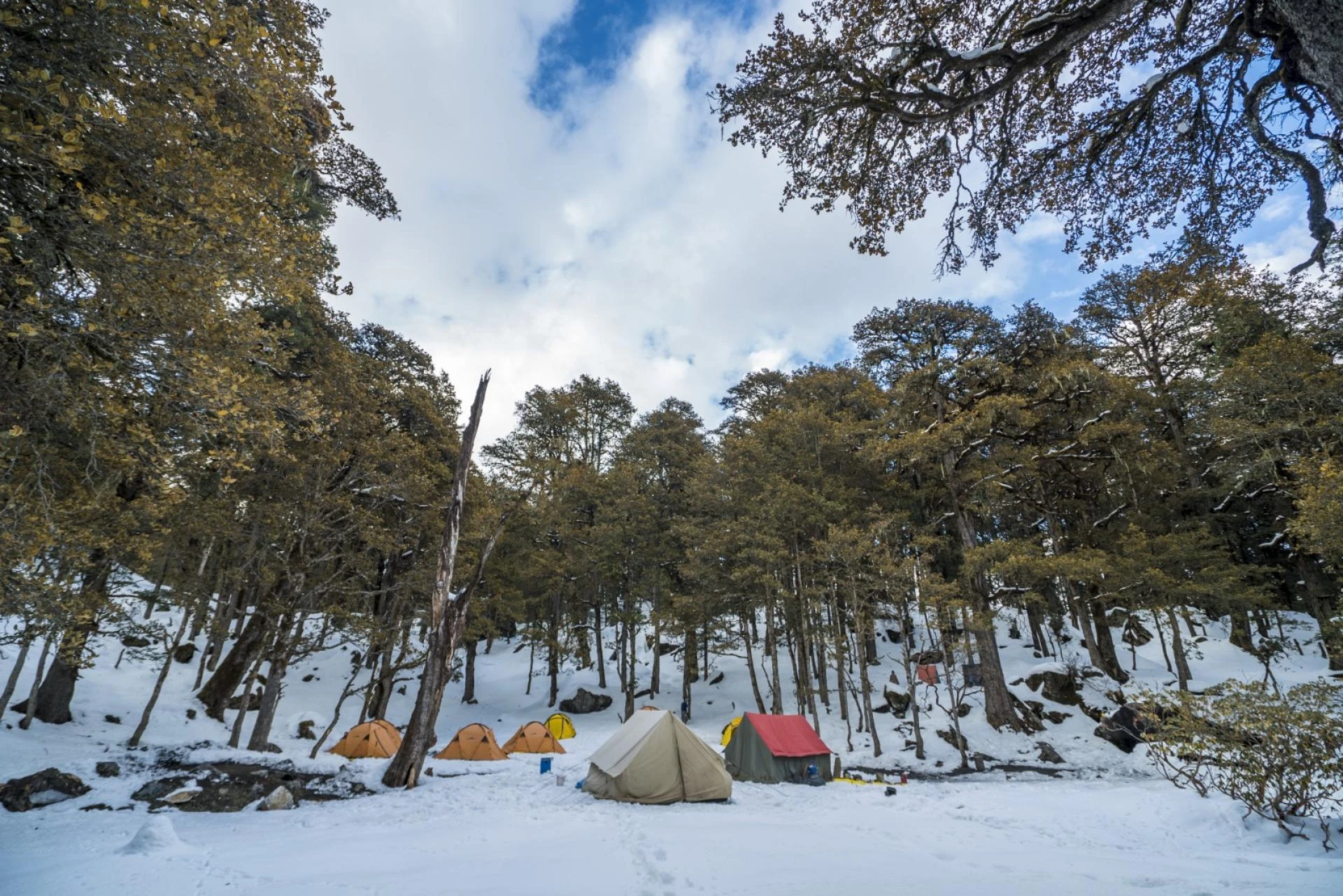The Kuari Pass Trek: A Trail That Teaches You More Than Just Trekking