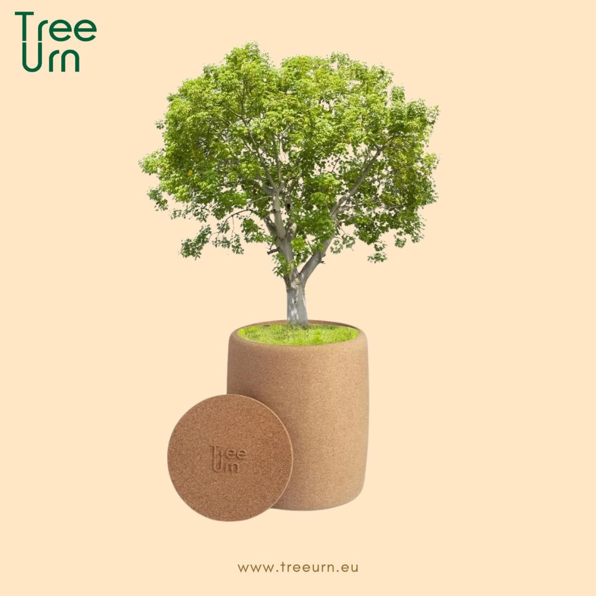 A Meaningful Choice: The Value of Choosing to Buy a Tree Burial Urn