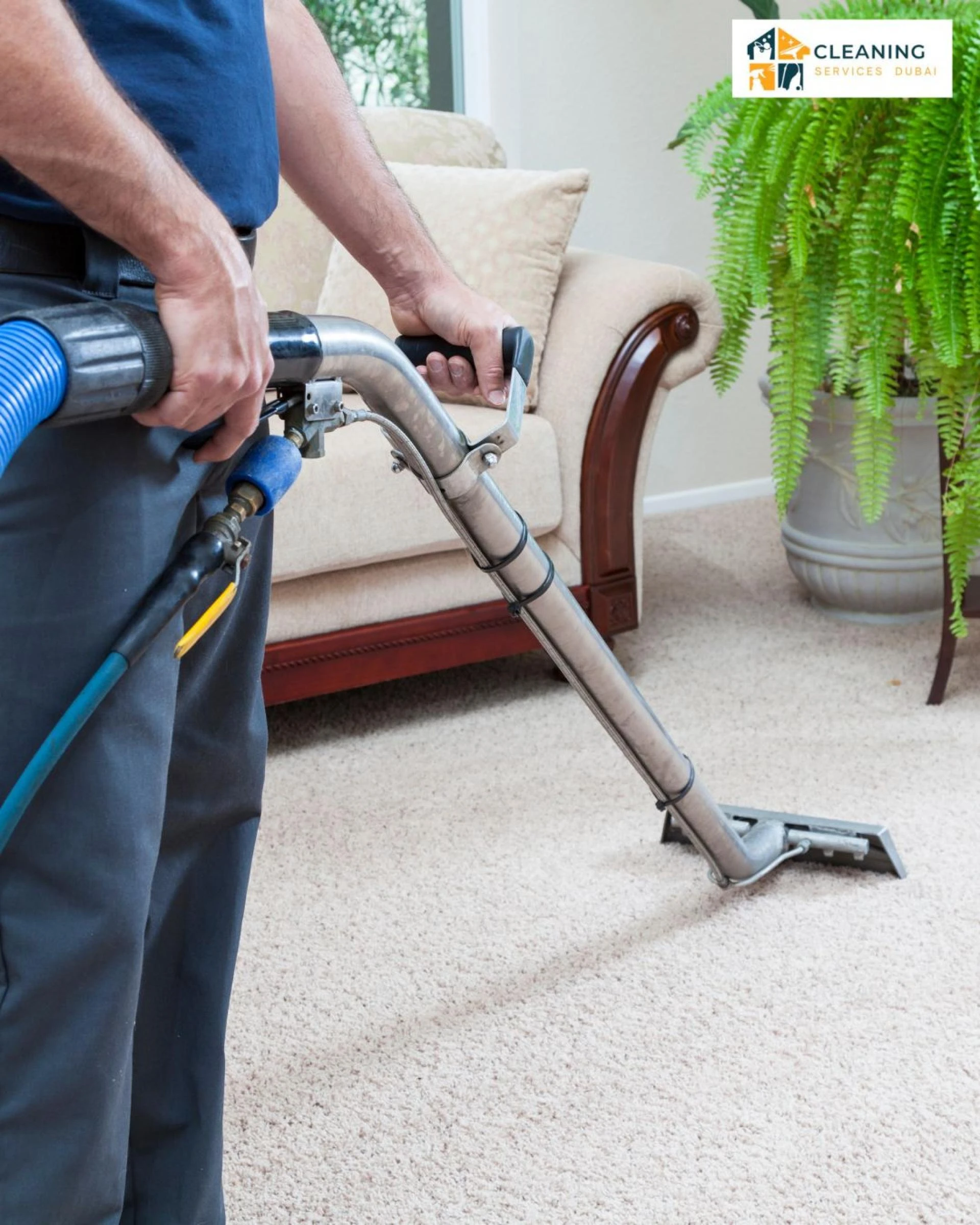The Best Ways to Clean Pet Stains on Your Carpet