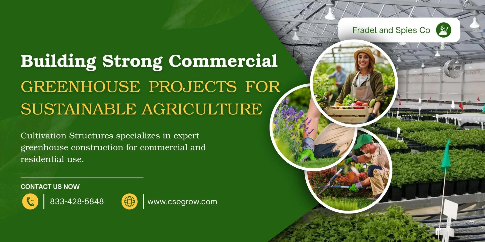 Building Strong Commercial Greenhouse Projects for Sustainable Agriculture