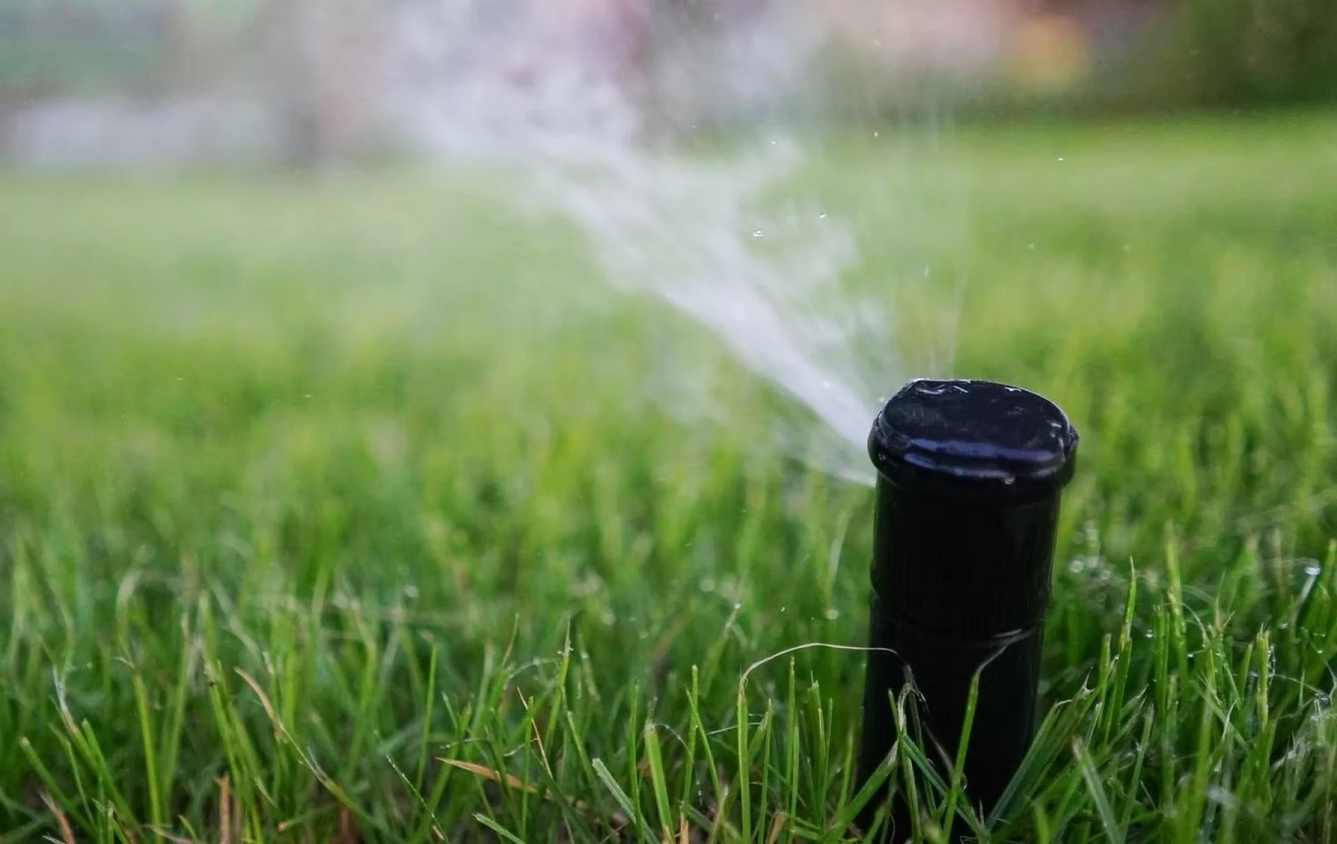 Common Irrigation Problems in Tucson and How to Fix Them