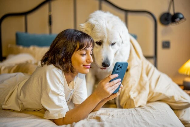 Mistakes to Avoid When Seeking Vet Help Digitally