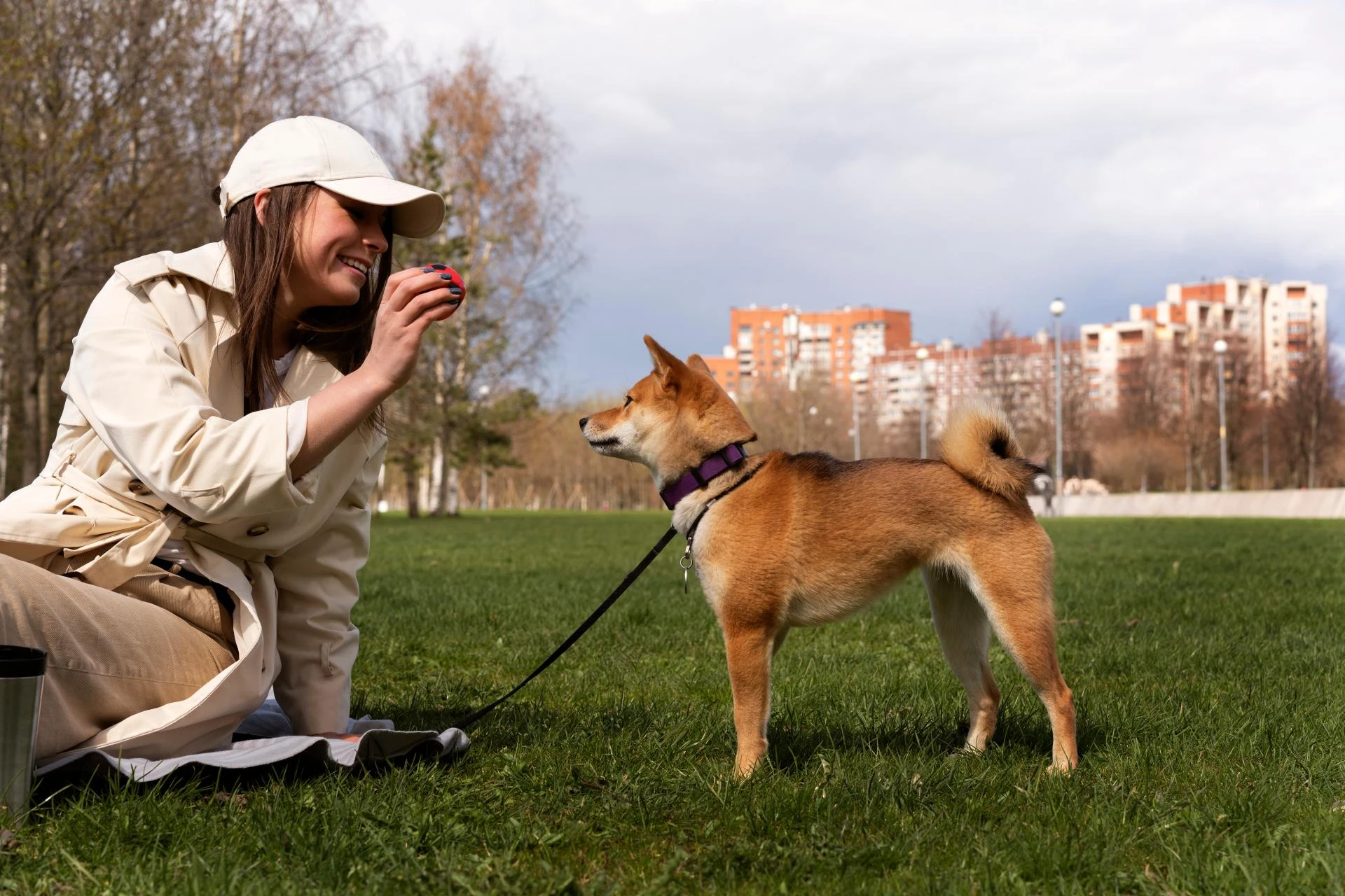 How Toys Build a Stronger Pet Bond