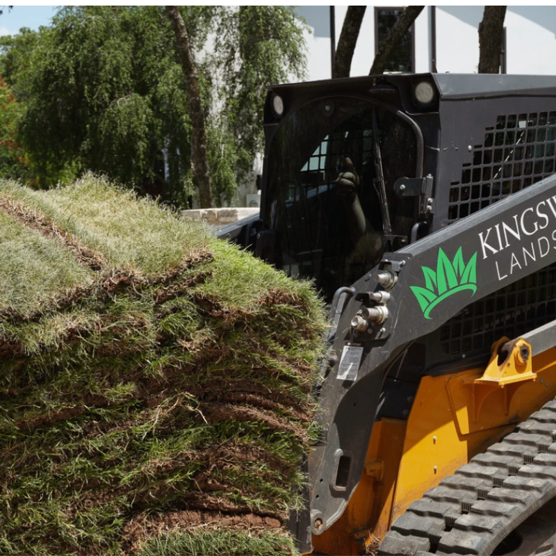 Top Sod Installation Companies Near Me for Green Lawns