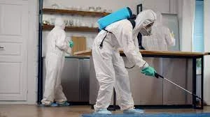 Professional Bug Removal Services in Lahore: A Complete Guide