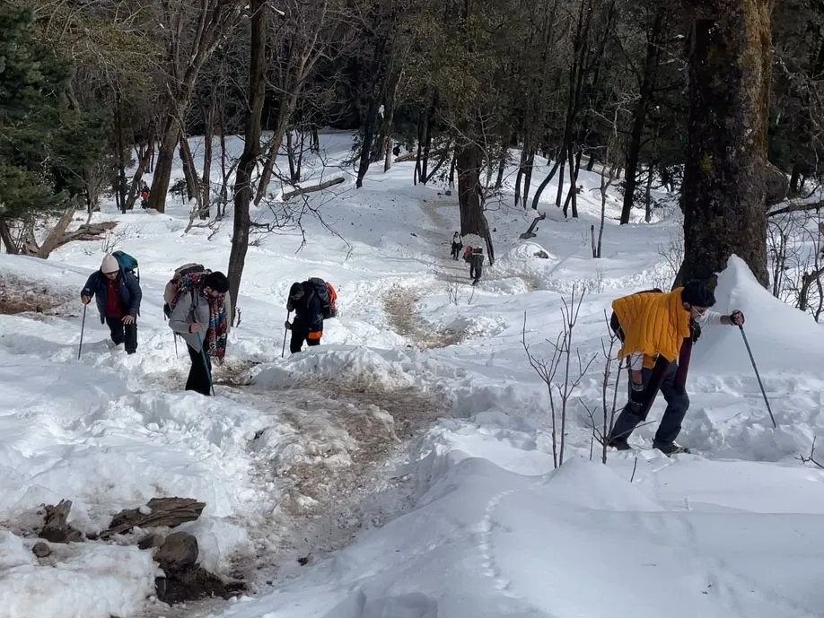 Kedarkantha Trek Journey: A Powerful Start Beyond Snow
