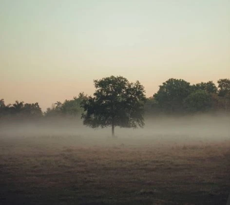 Abandoned Property for Sale in London – An Ideal Way to Buy Property