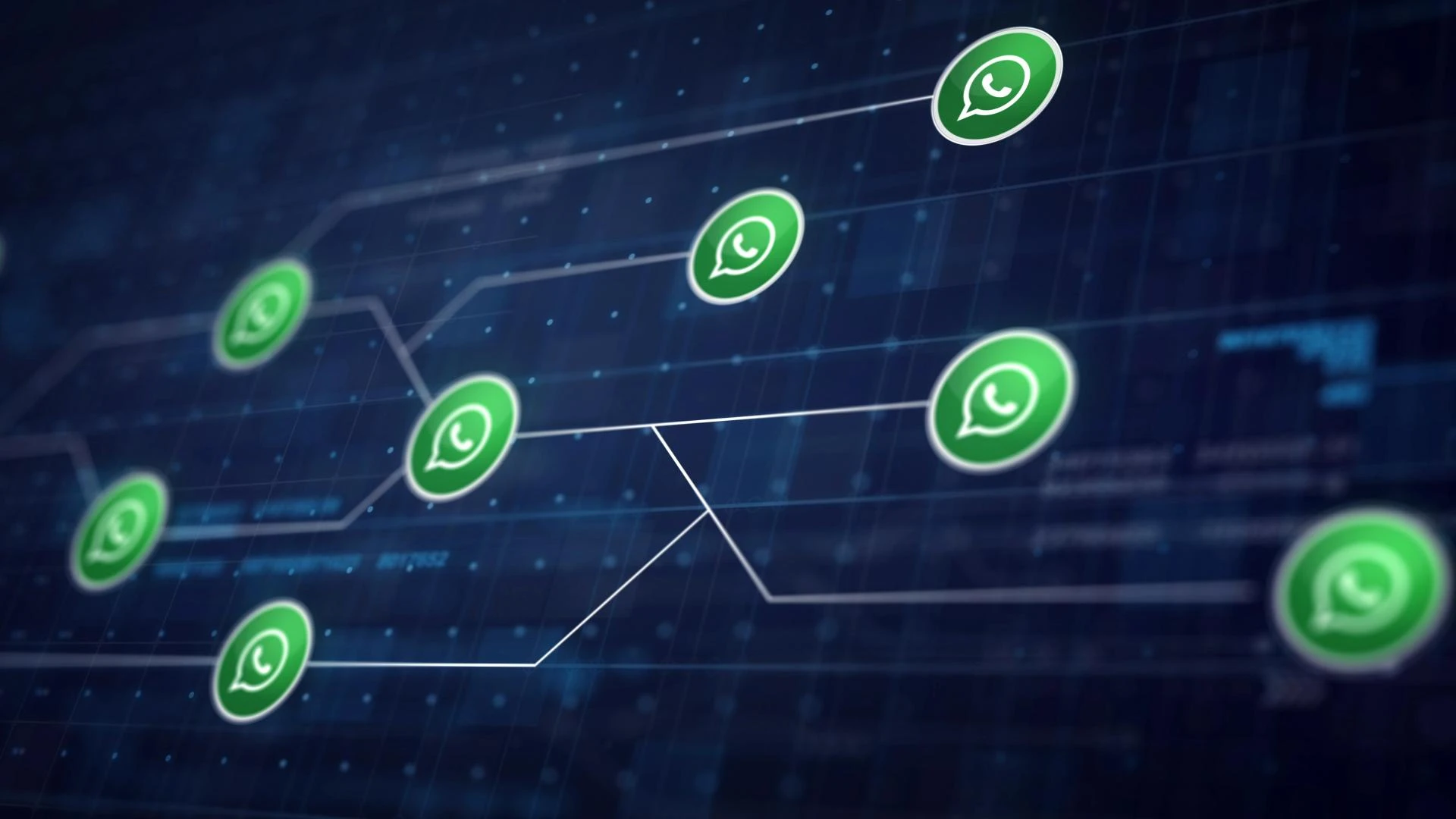 Boost Your Business Growth with Effective WhatsApp Campaigns