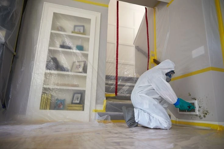 Water Damage Restoration Marietta: Fast Recovery When Water Strikes