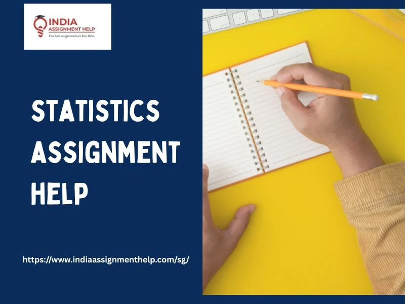 Statistics Assignment Help: Guiding Children Through the Challenges of Early Data Learning 