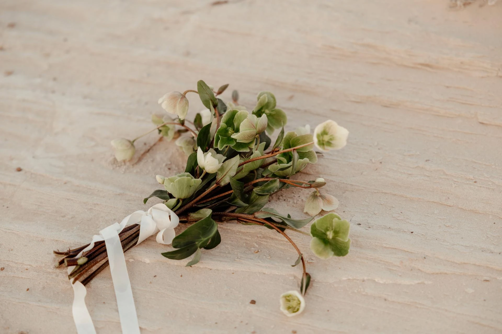 Top Scenic Spots for Utah Desert Elopements