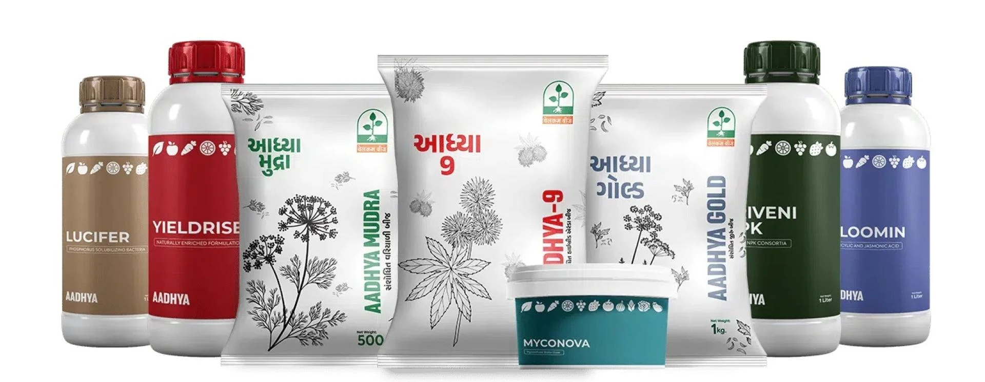 High-Quality Fennel Seeds from Gujarat’s Trusted Producers