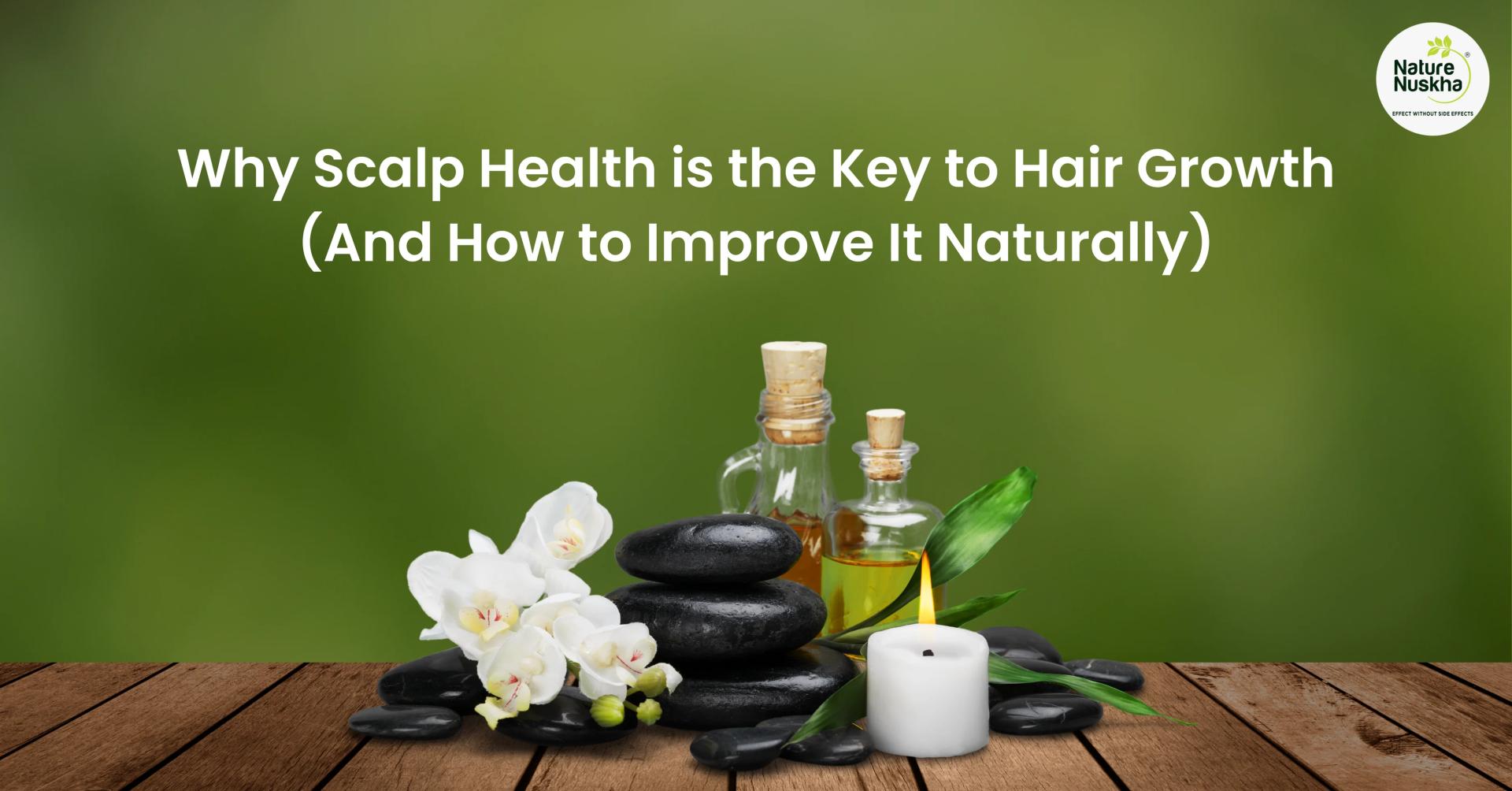 Why Scalp Health is the Key to Hair Growth (And How to Improve It Naturally)