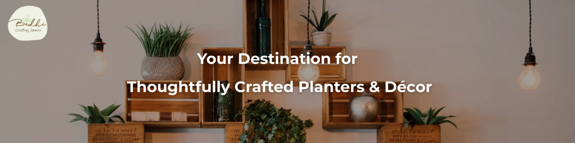 Transform Your Space with Cactus Planters and Home Décor in Bangalore