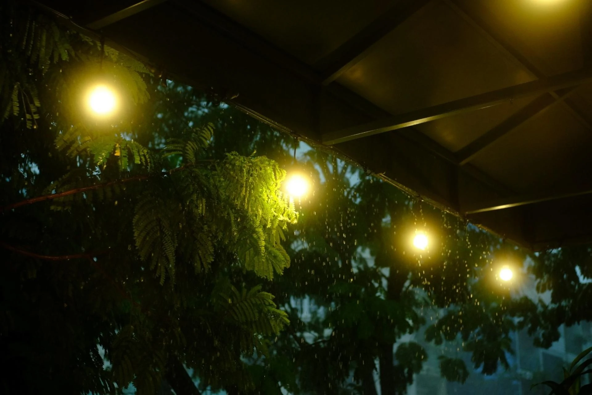How Commercial Exterior LED Lighting Boosts Customer Experience and Brand Image