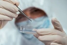 🧬 DNA Testing in India