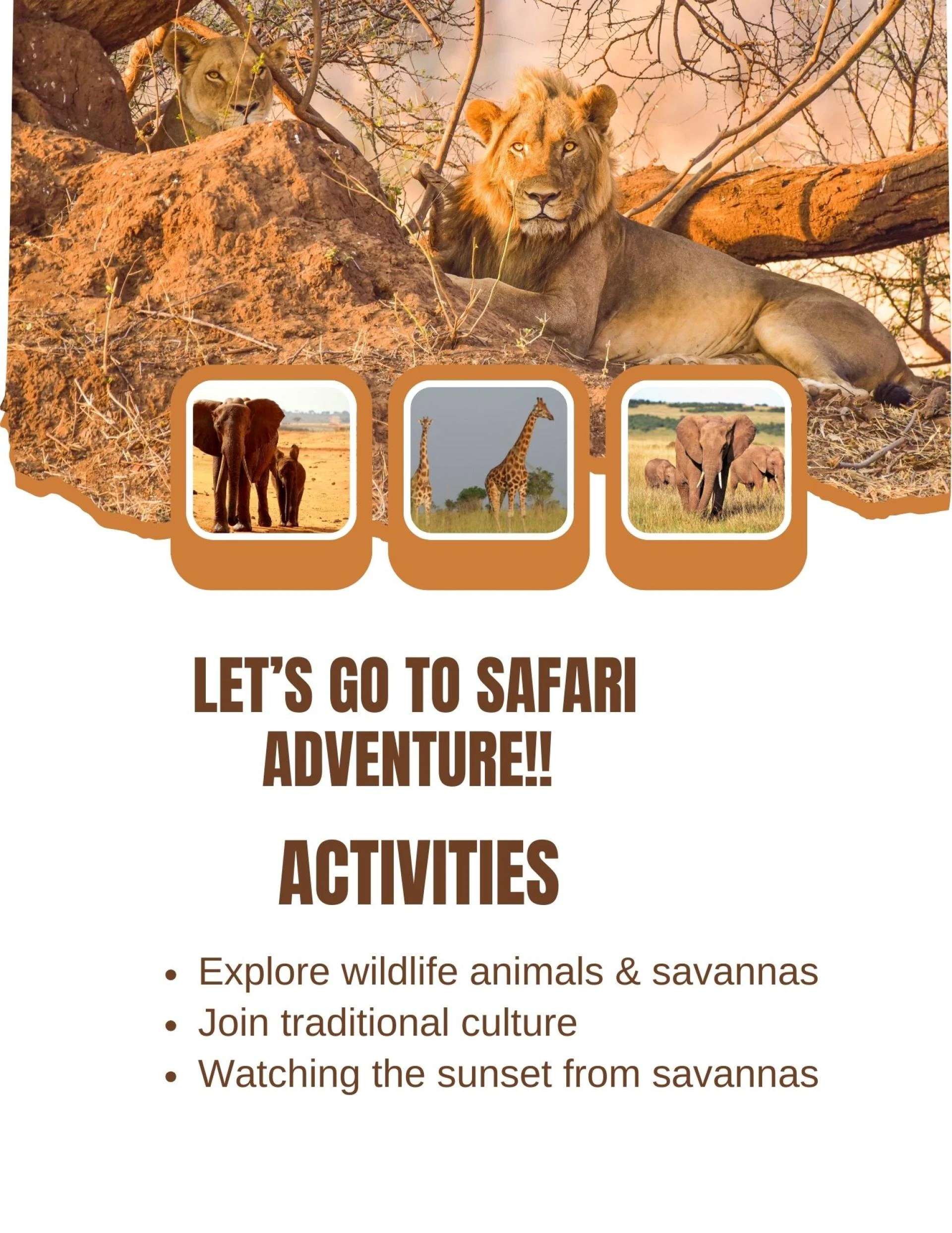 Zanzibar Travel Packages for Relaxed Island Getaways