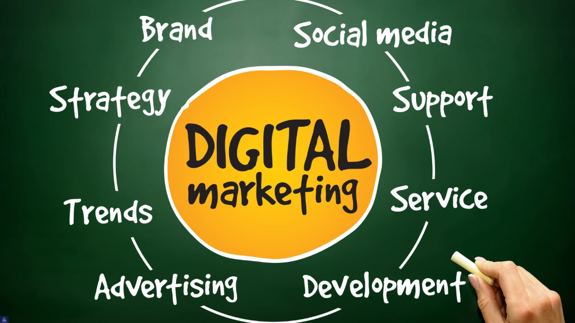 Mastering Social Media Management in the UAE