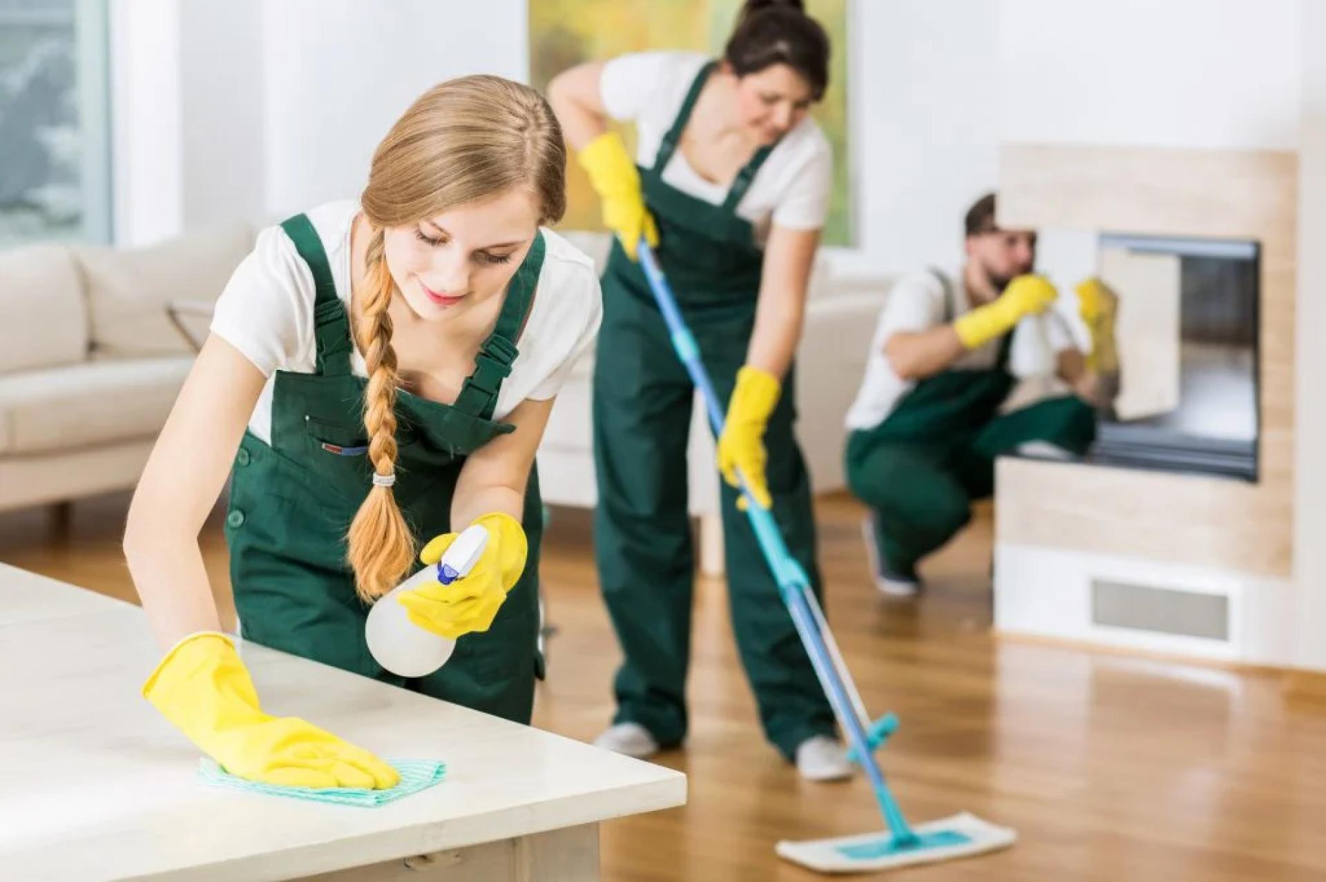 Deep Cleaning in Aldie, Virginia