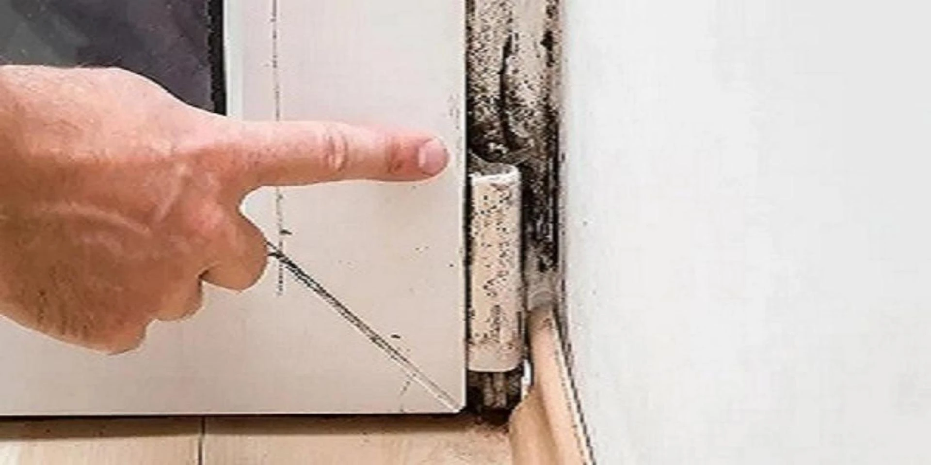 Reliable Mould Prevention And Cleaning Services Sunshine Coast Offices