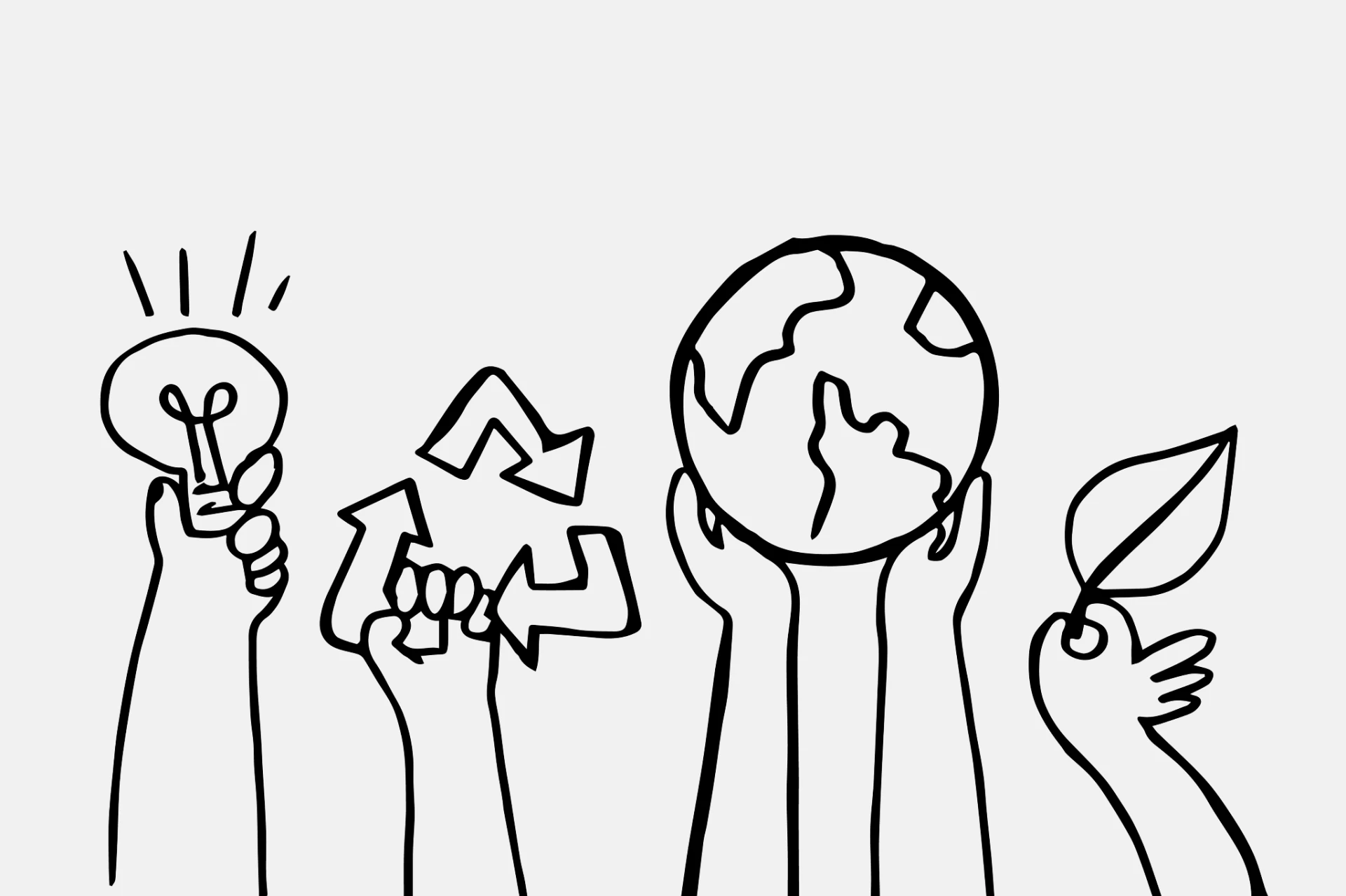 Packaging for the Planet: How Mid-Sized Manufacturers Are Leading the Green Shift