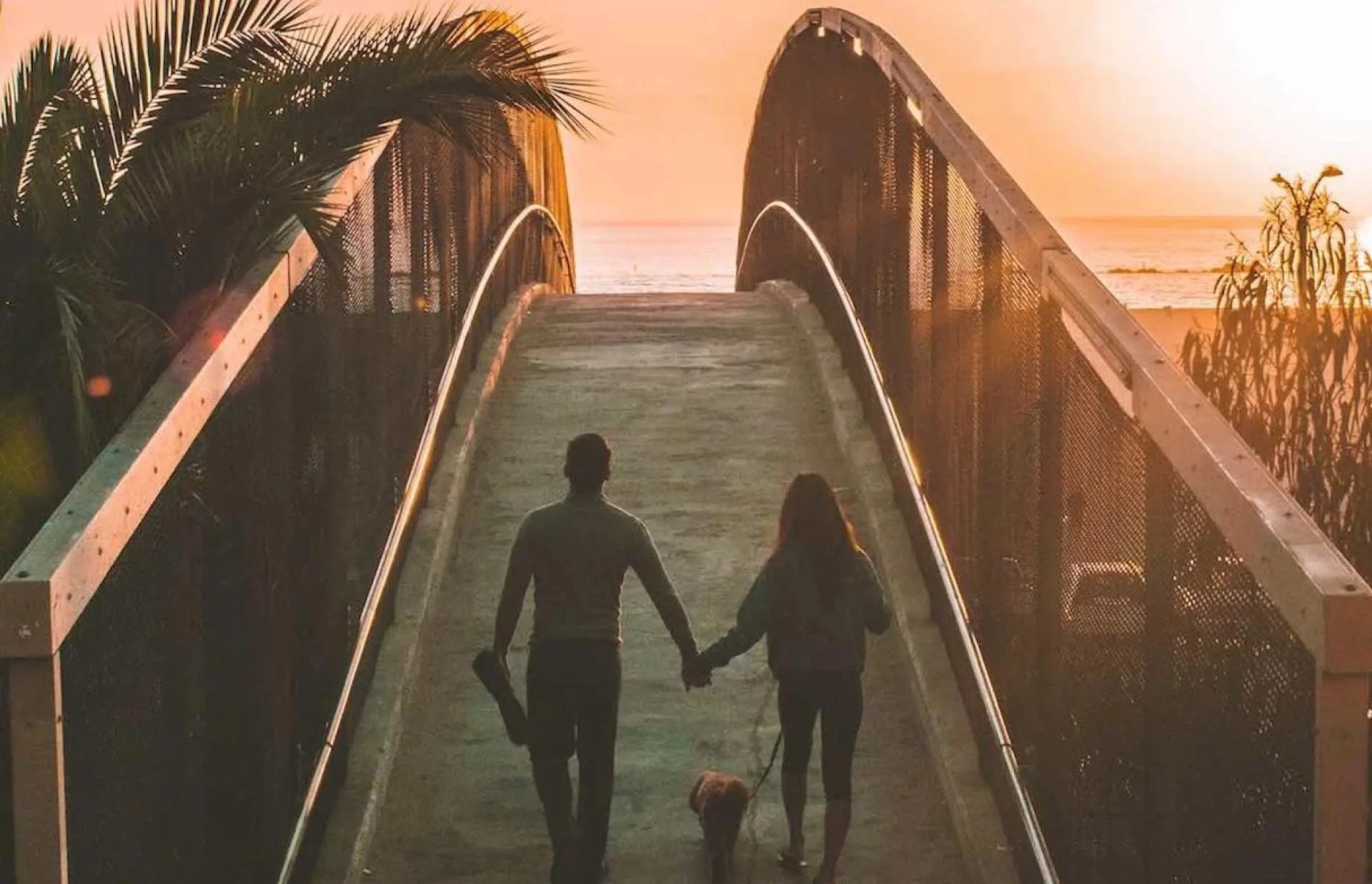 Find Support and Healing with Professional Therapy Near You