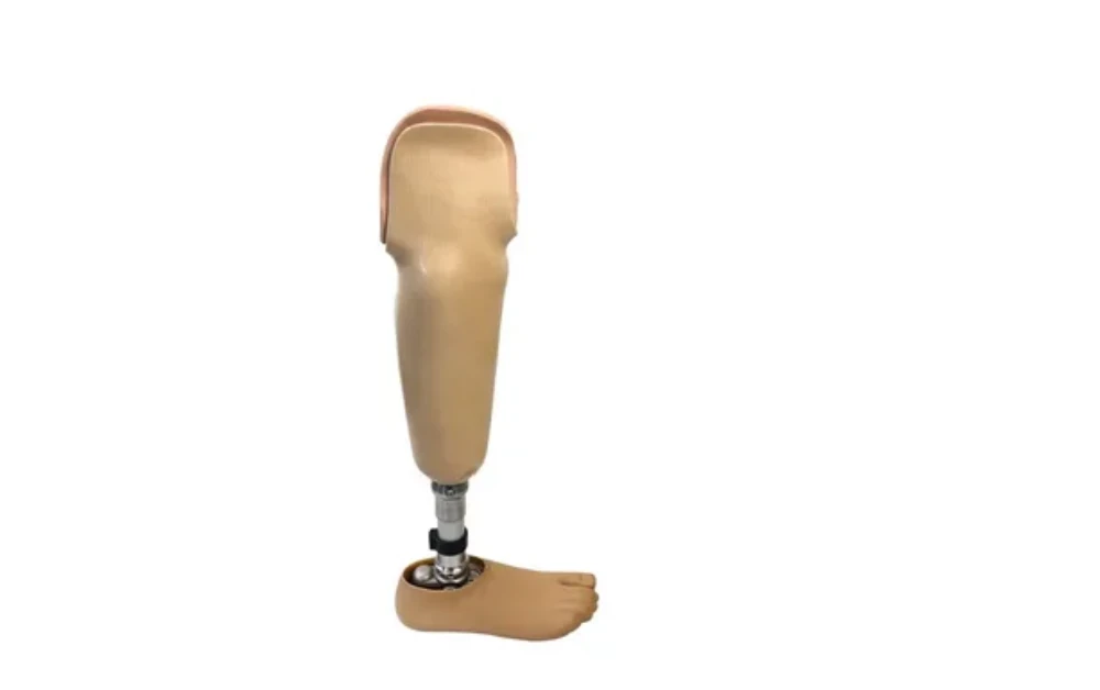 What Makes Below Knee Prostheses Essential for Gait Support?
