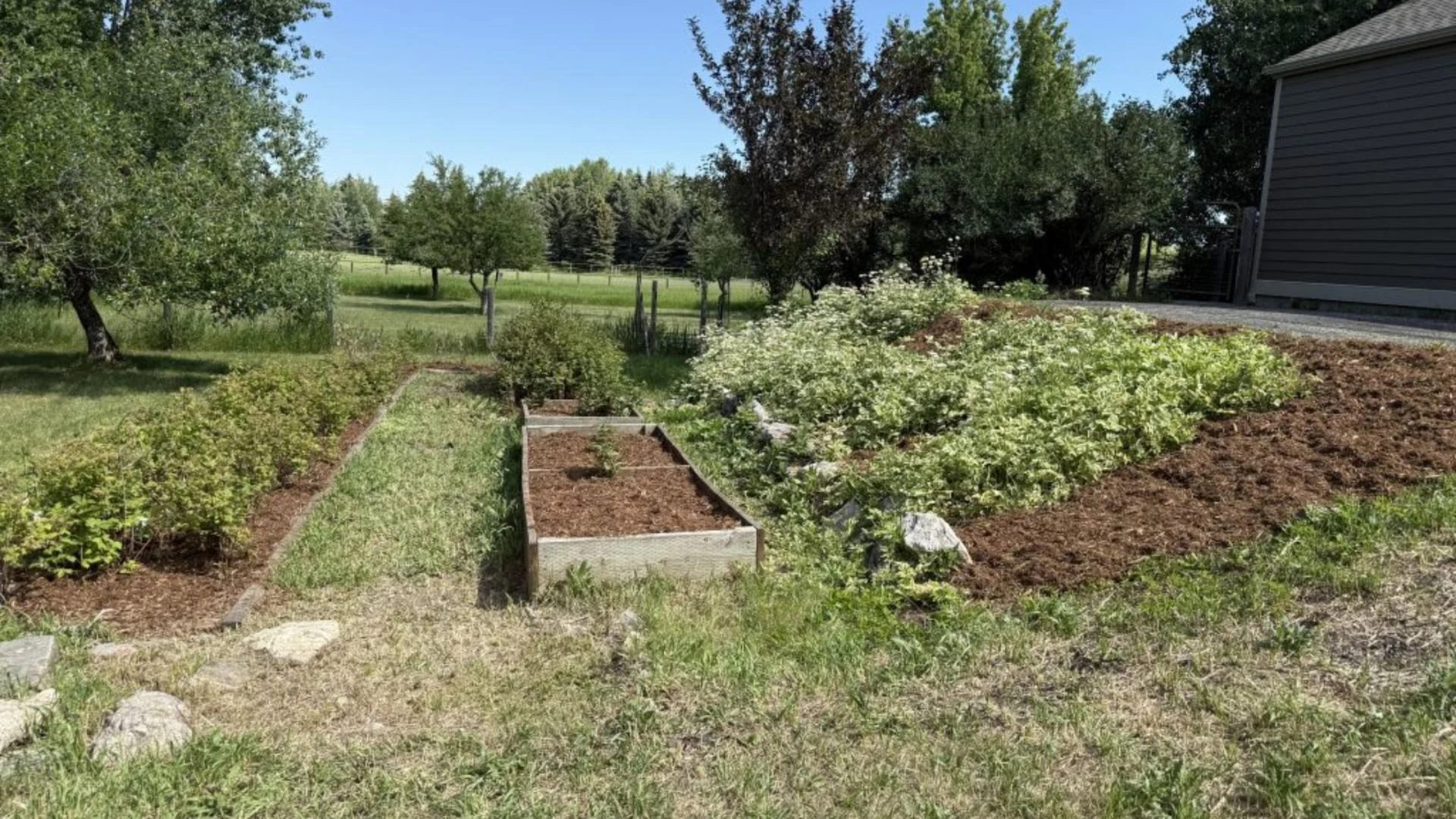 Struggling With Yard Work? Top Local Lawn Care Companies Can Help